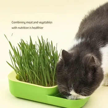 Нов 2 в 1 Pet Cat Sprout Dish Growing Pot Hydroponic Plant Cat Grass кълняемост Храносмилане Стартерна чиния Greenhouse Grow Box Изображение