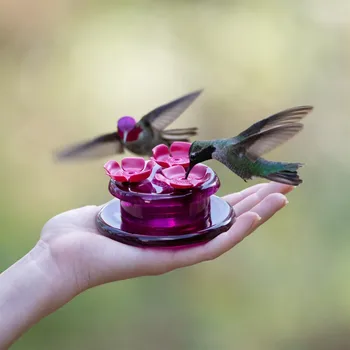 Хранилка за птици Ръчно подаващо устройство за колибри с всмукателна чаша Външен прозорец Колибри поилка с четка за птици Изображение