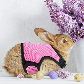 Регулируем колан за зайче с еластична каишка за зайци Vest Easy Control Изображение