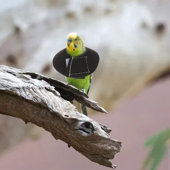 Малки птици врат пръстен папагали против надраскване възстановяване яка 4бр (смесен цвят) Изображение