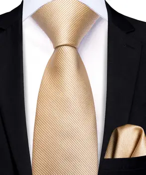 2023 Ново шампанско твърда копринена елегентна вратовръзка за дете 120CM дълга 6CM широка луксозна дизайнерска детска вратовръзка Handky Fashion Hi-Tie Изображение