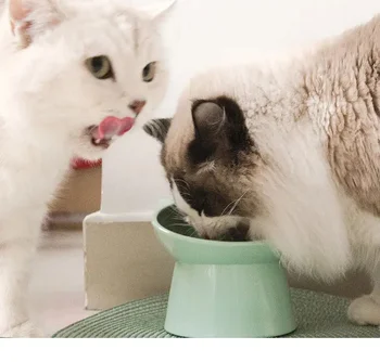 Наклонени повдигнати котешки купи, купички за хранене на котки и вода с подвижна котешка чиния против повръщане Изображение