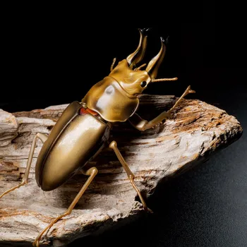 Bandai Оригинален модел на бръмбар Gashapon играчки Симулация на гигантски насекоми чистач насекоми еднорог действие фигура модел орнамент играчки Изображение